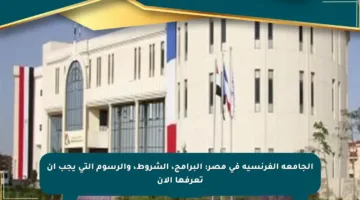 الجامعة الفرنسية في مصر: البرامج، الشروط، والرسوم التي يجب أن تعرفها الآن